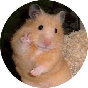 Meet your Posher, Serena